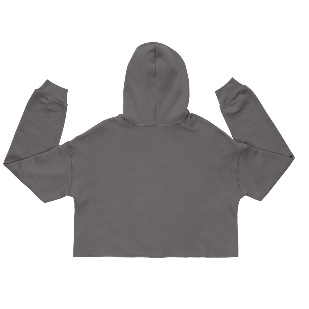 Women's Storm cropped hoodie with the Miami P.I.NEAPPLE retro logo print