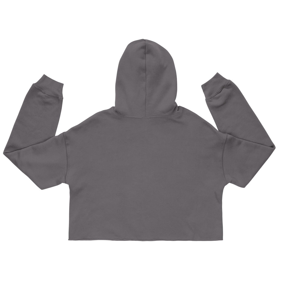 Women's Storm cropped hoodie with the Miami P.I.NEAPPLE retro logo print